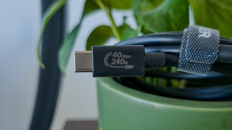 Extreme close-up of a high-bandwidth USB4 cable connector.