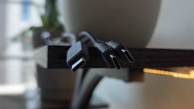 Assorted USB-C cables on a retail shelf display.
