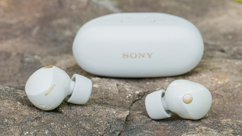 The Sony WF-1000XM5 earbuds and their compact charging case on a plain background.