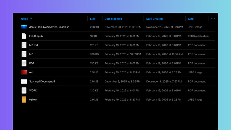 The iPad Files app interface showing a detailed list view with file metadata.