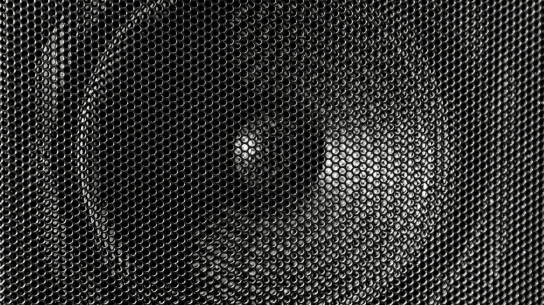 Close-up of a speaker driver mounted behind a protective metal grille.