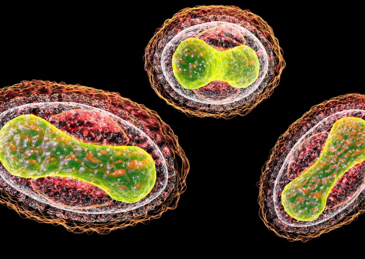 AI Biosecurity Risks: Are LLMs Crossing the Line?