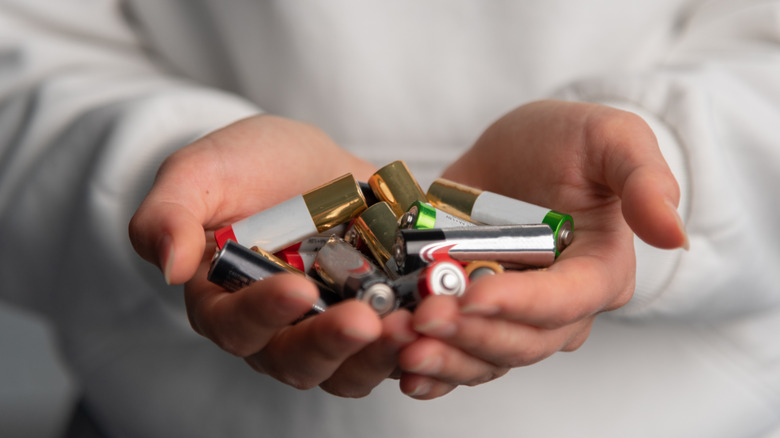 A person holding a handful of AA batteries.