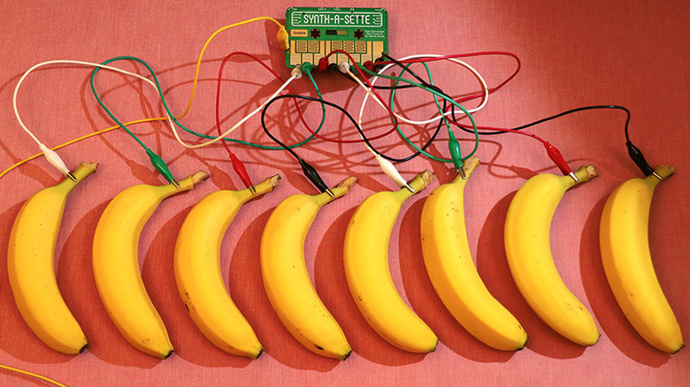 A green circuit board connected with multicolored alligator clip cables to a row of bananas acting as capacitive keys.