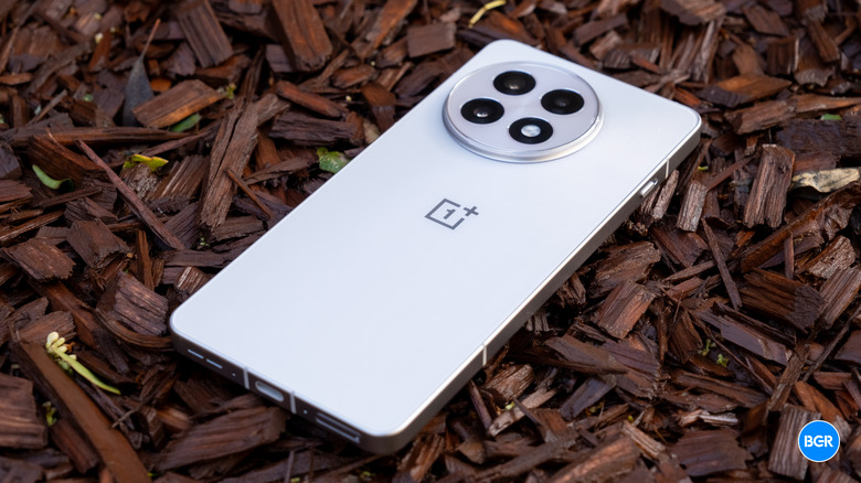 A side-profile view of the OnePlus 13R's back panel showing the finish and texture.