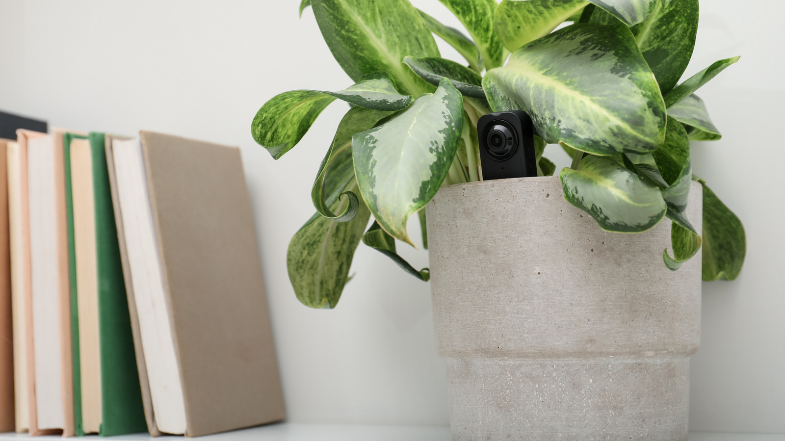 2026 Best Hidden Camera Detectors Under $50