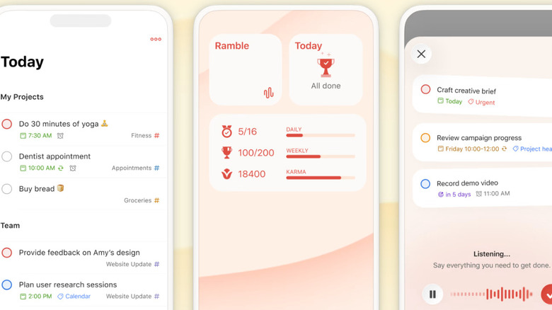 The Todoist dashboard with structured tasks and priority labels.