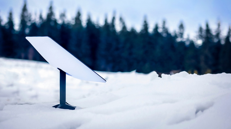 A Starlink satellite dish setup in a snowy landscape with a dense pine forest in the background.